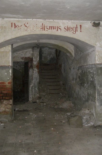 Syhra 2006