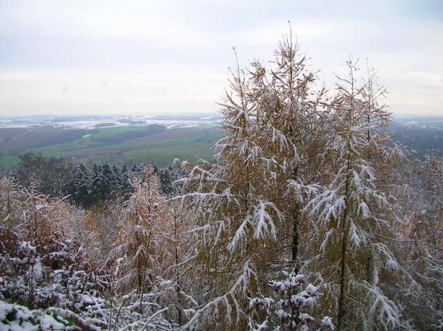 Syhra 2007