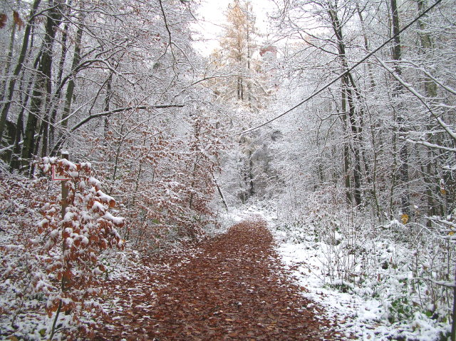 Syhra 2007